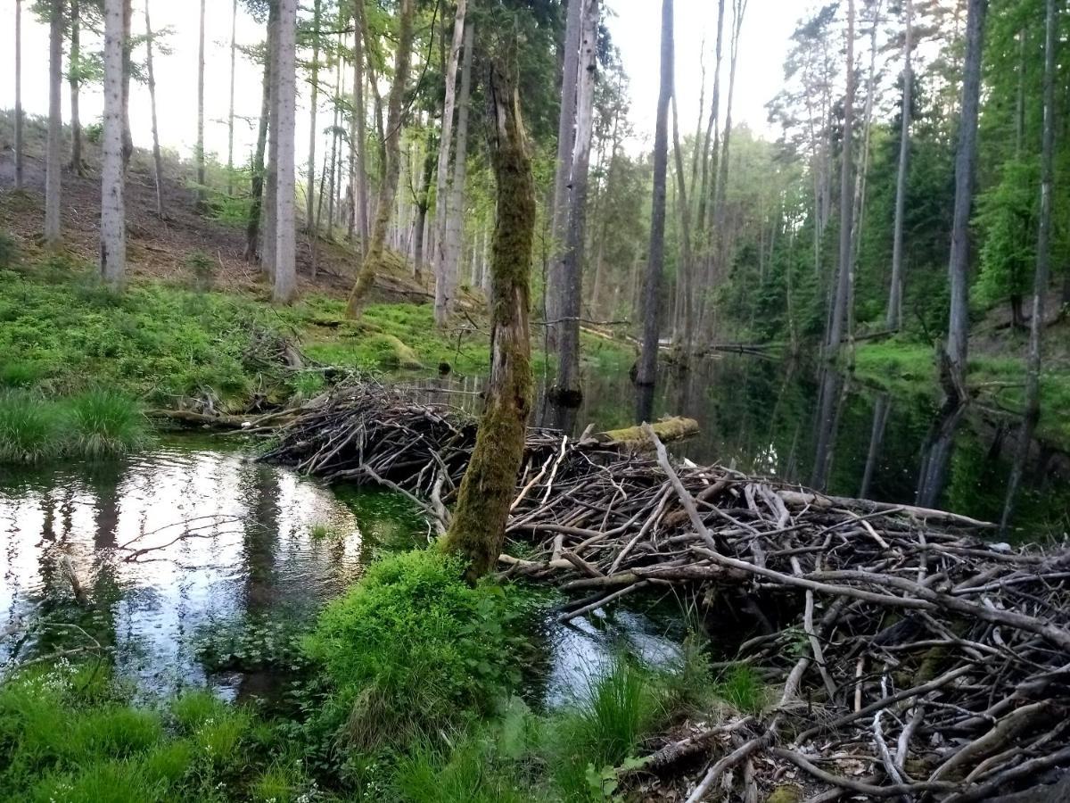 Domek Letniskowy Na Kaszubach, Borowy Mlyn, Jezioro Gwiazda 빌라 외부 사진