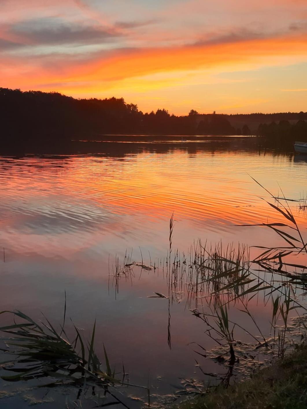 Domek Letniskowy Na Kaszubach, Borowy Mlyn, Jezioro Gwiazda 빌라 외부 사진